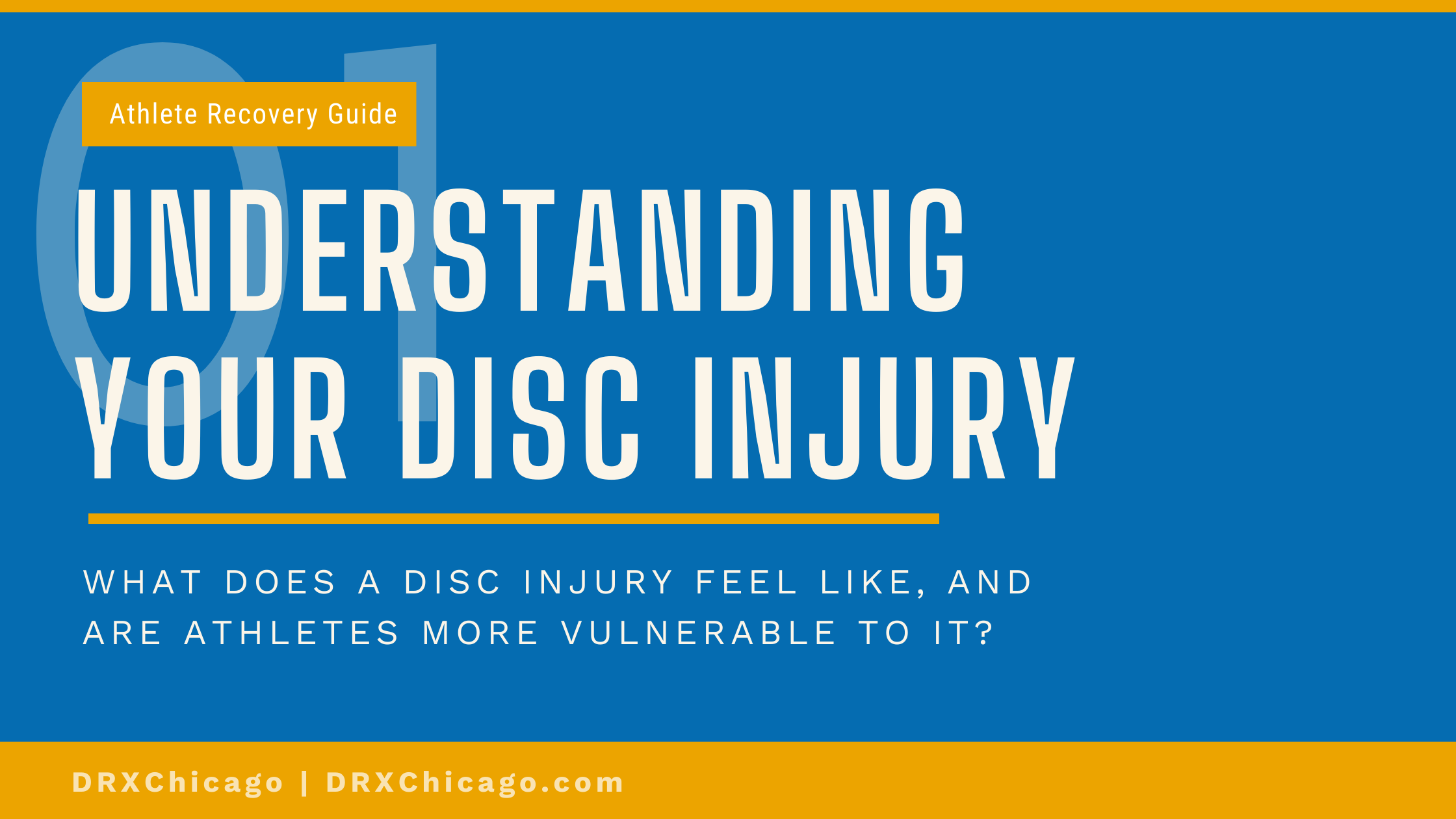 UNDERSTANDING DISC INJURY